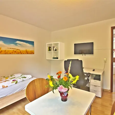 Appartement Kakadu Laubegast Wlan Tv Fahrrad Dresden